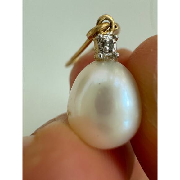 Real Pear Dangle Earrings with 14K Gold Lever Clasp Post - Picture 3 of 3